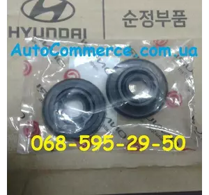 Ремкомплект циліндра гальмівного заднього Hyundai HD65, HD72, HD78, Богдан А069 E2